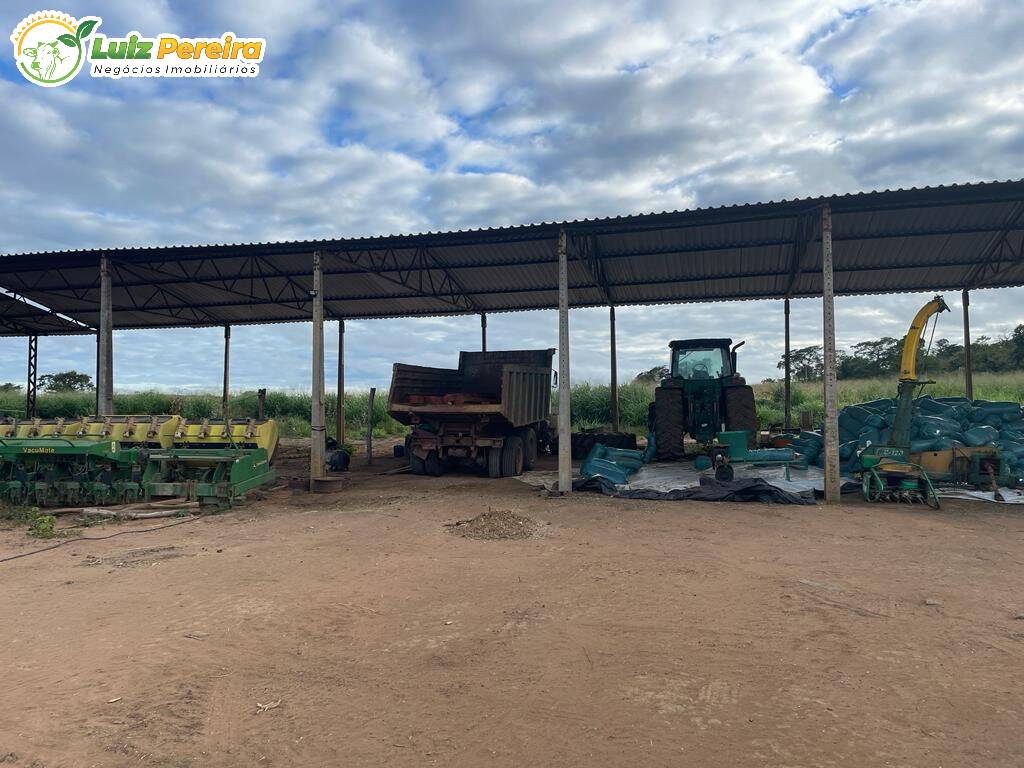 Terreno à venda, 8000m² - Foto 19