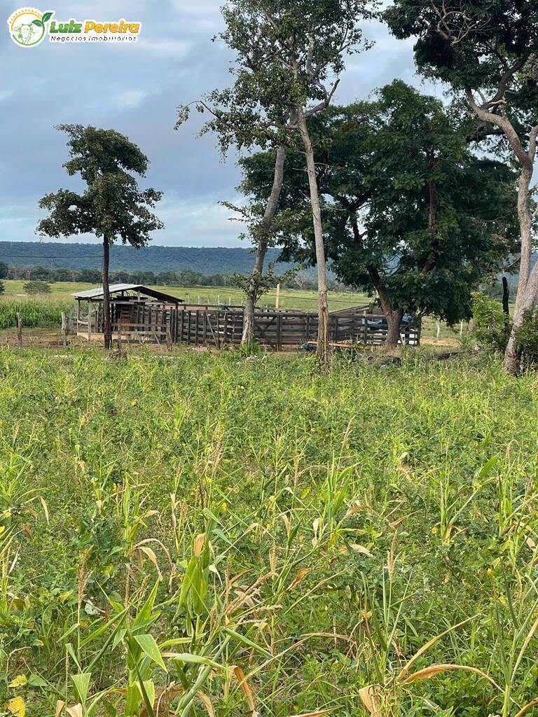 Terreno à venda, 8000m² - Foto 5