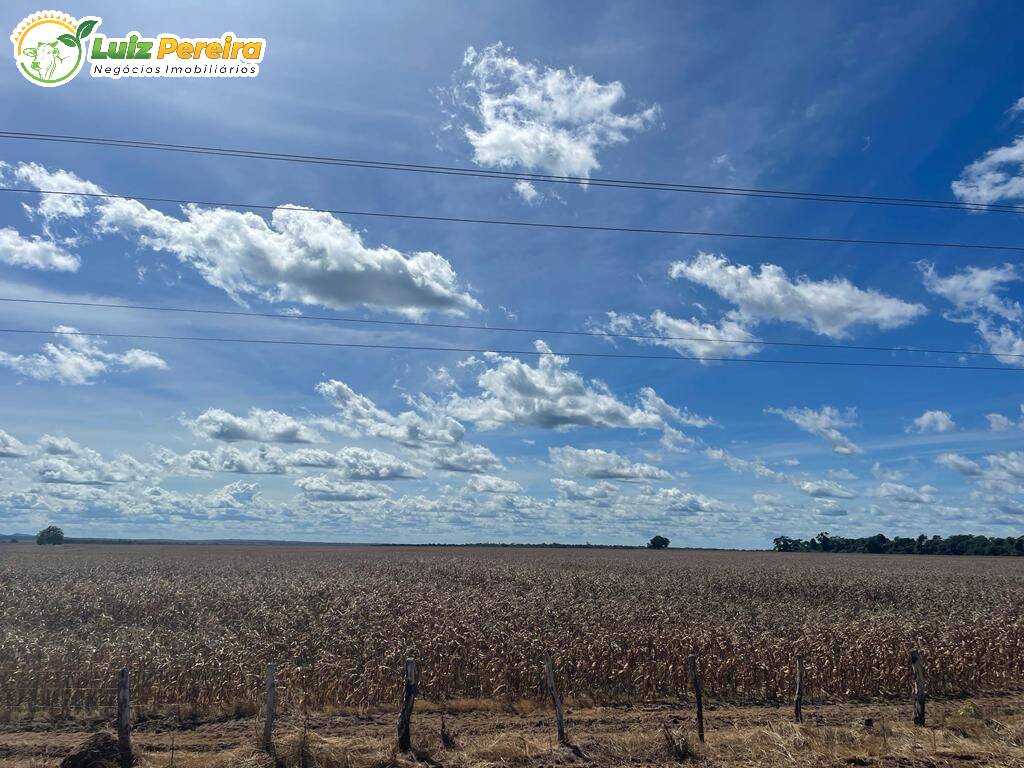 Terreno à venda, 8000m² - Foto 7