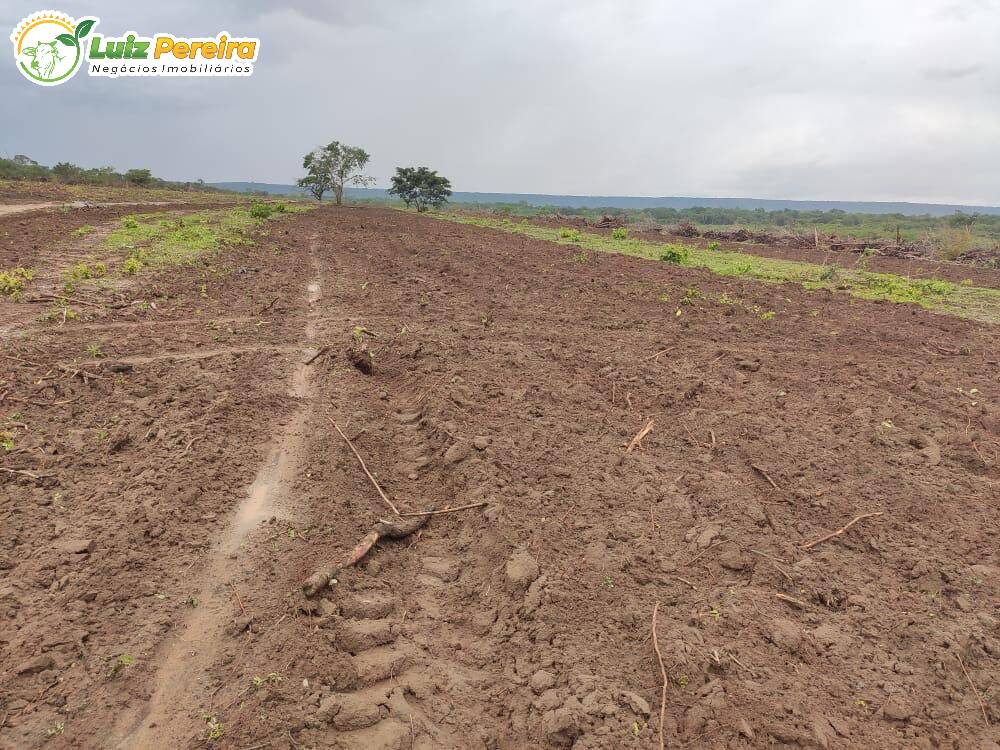 Terreno à venda, 8000m² - Foto 10
