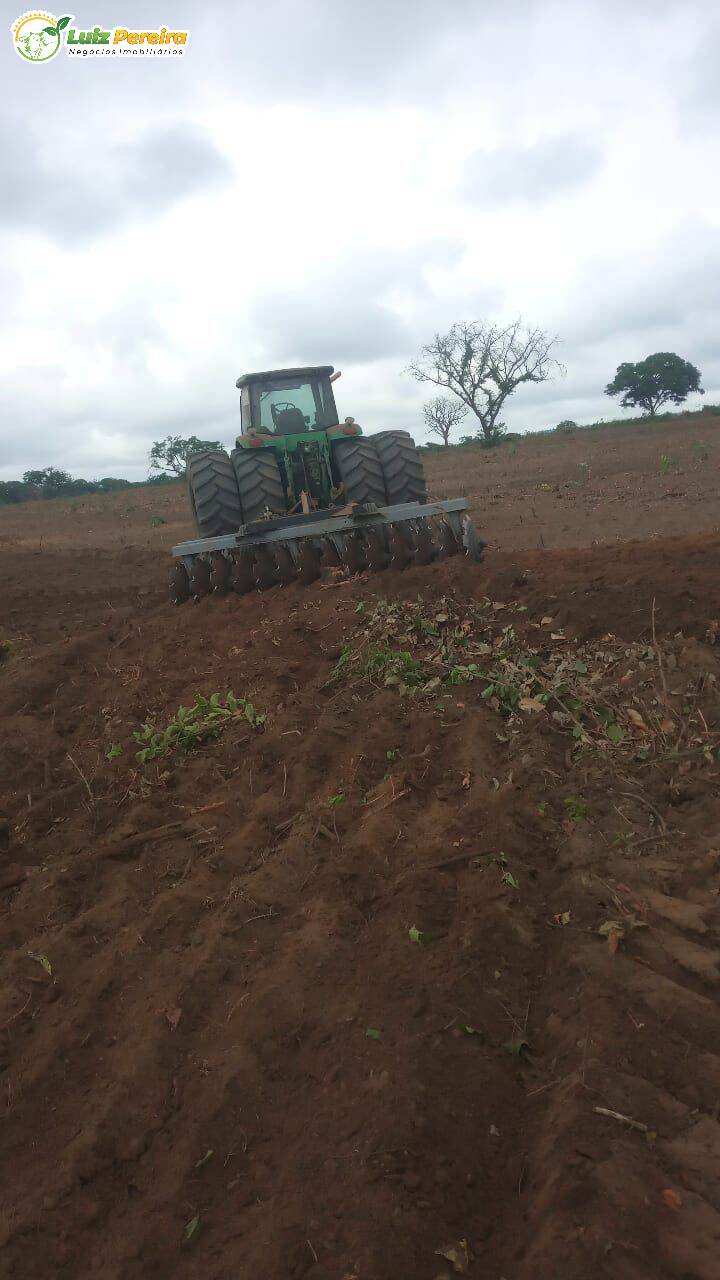 Terreno à venda, 8000m² - Foto 11