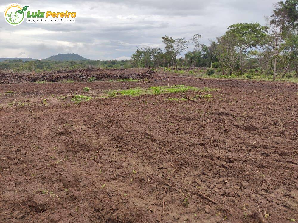 Terreno à venda, 8000m² - Foto 12