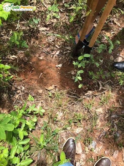 Terreno, 9000 m² - Foto 8