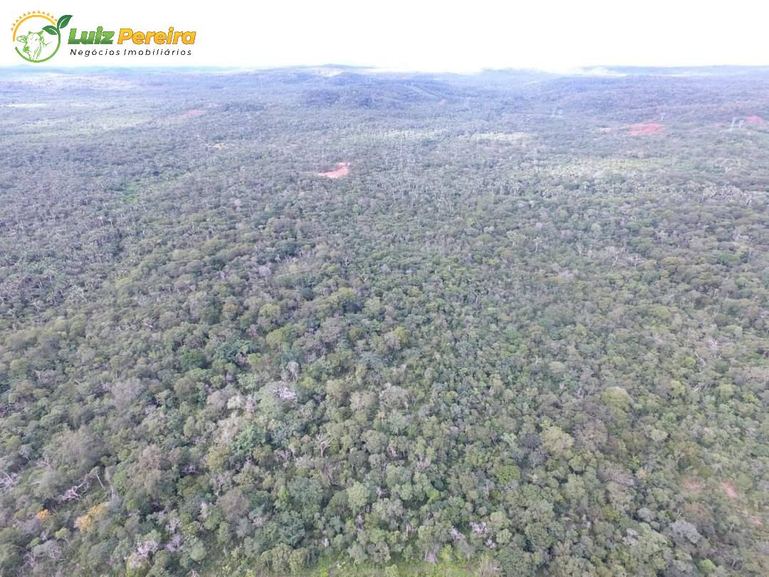 Terreno, 9000 m² - Foto 7