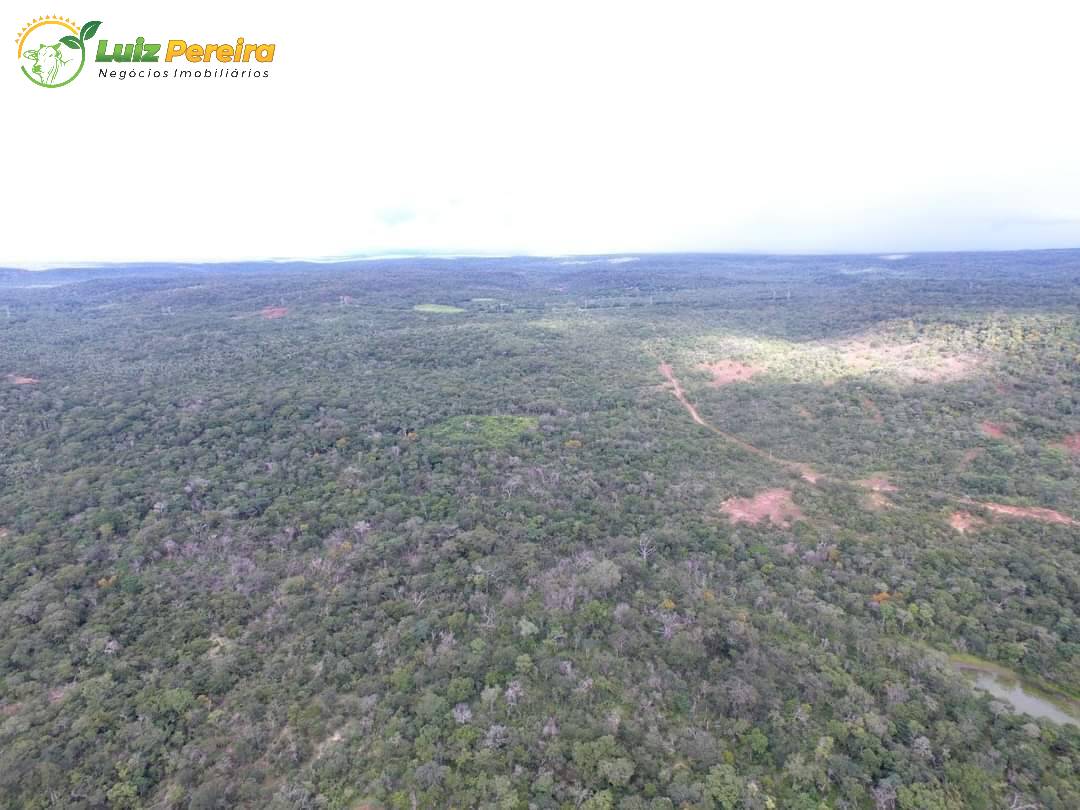 Terreno, 9000 m² - Foto 6