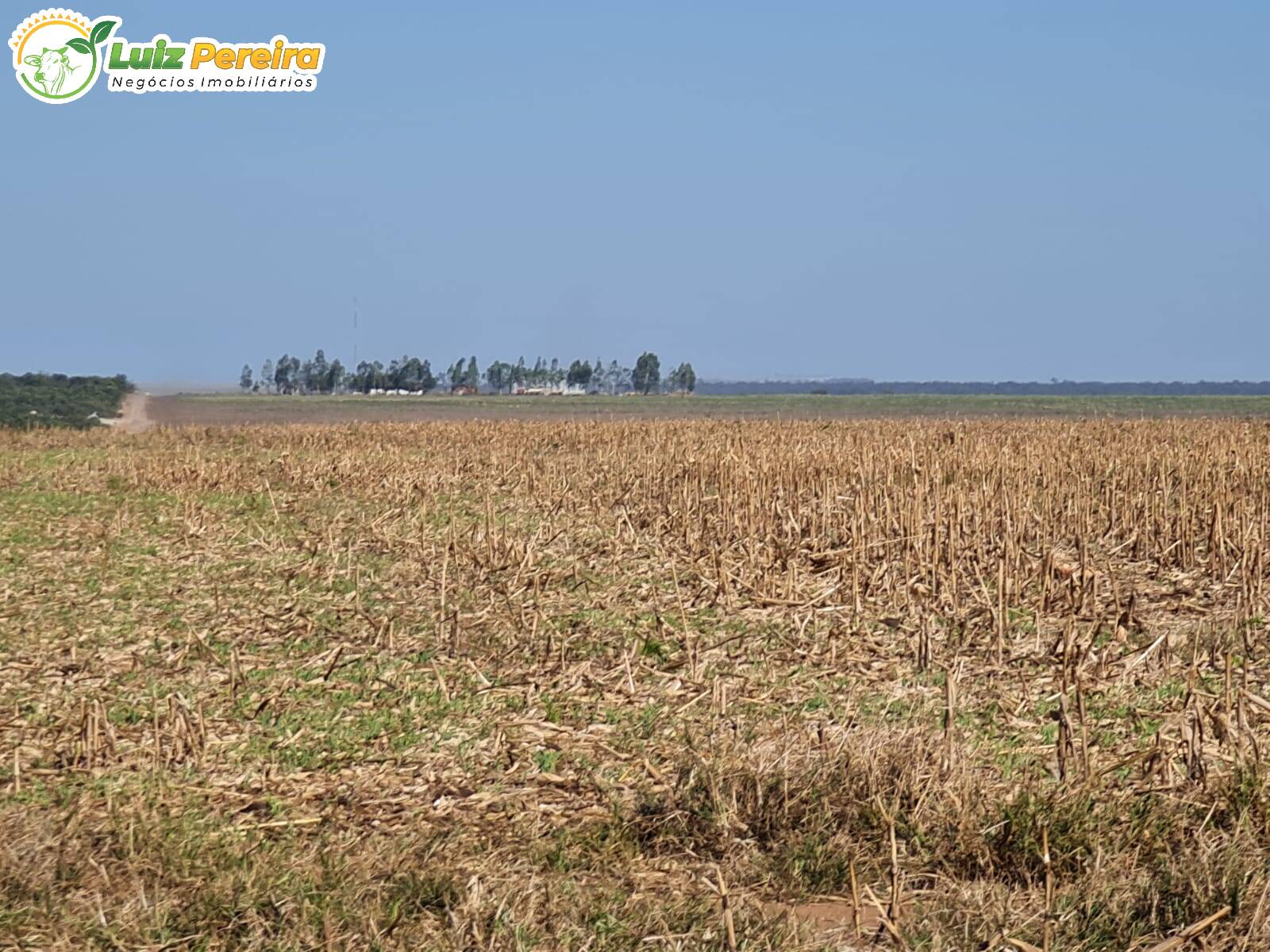 Terreno à venda, 8000m² - Foto 10