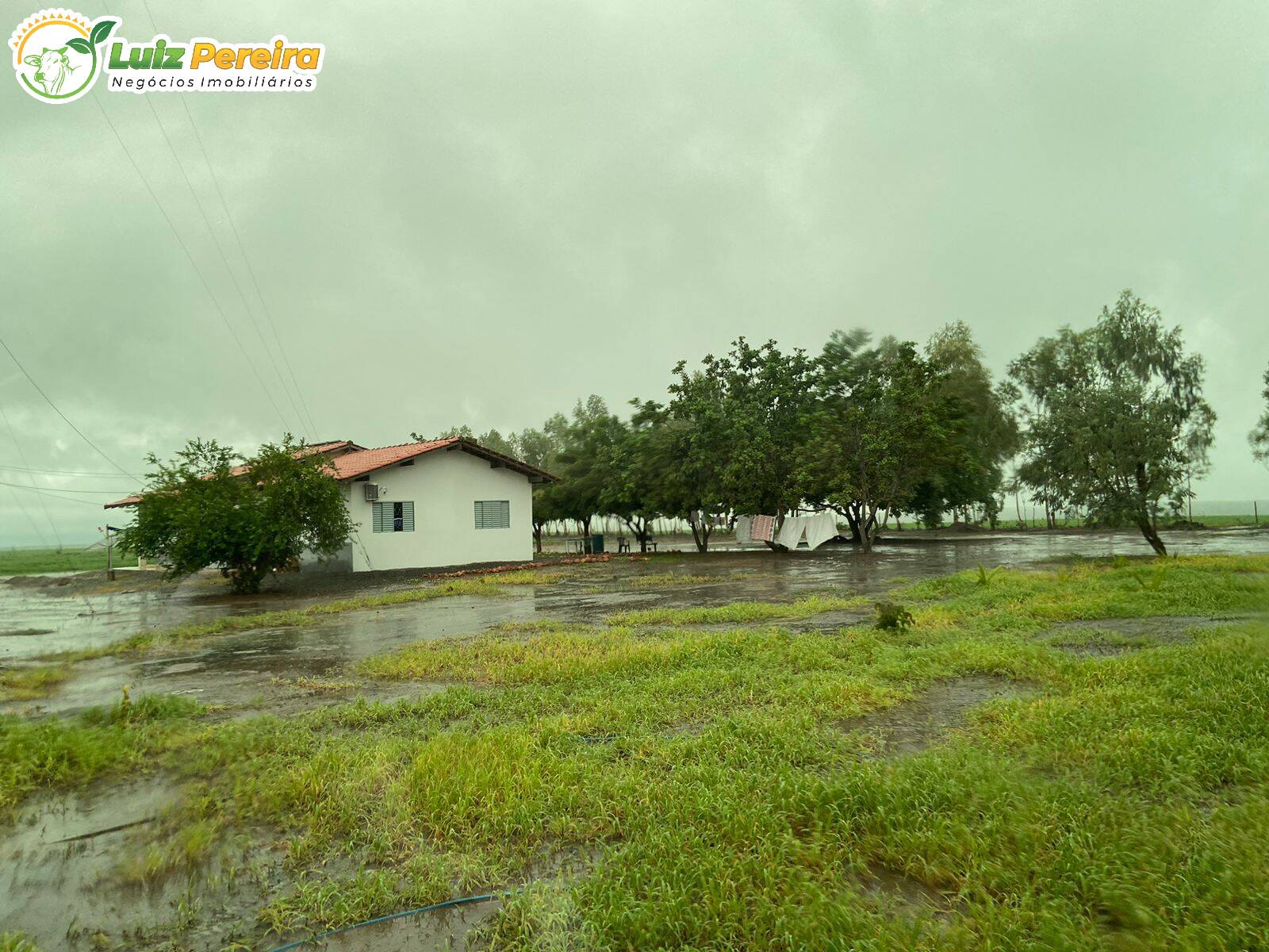 Terreno à venda, 8000m² - Foto 15