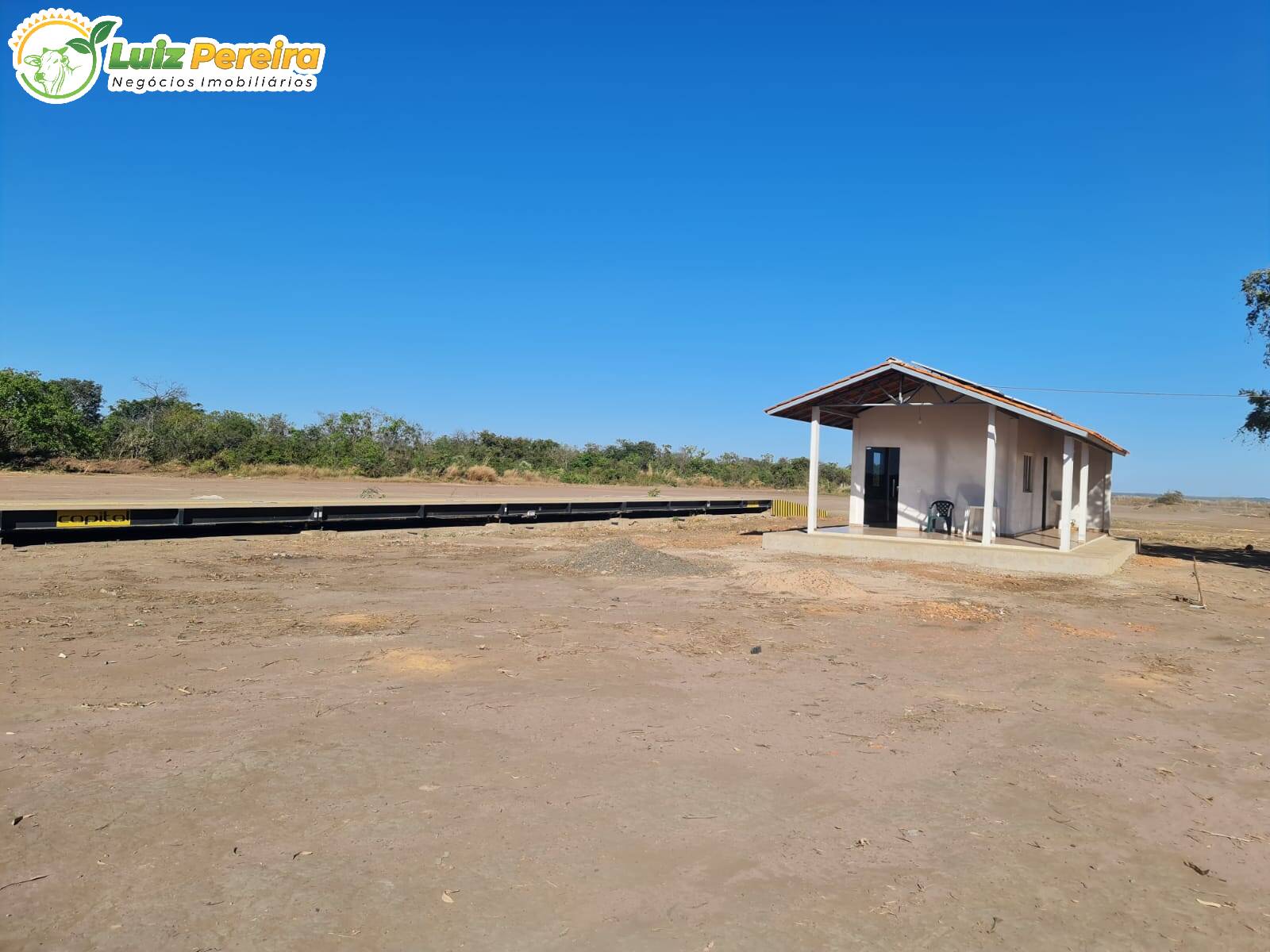 Terreno à venda, 8000m² - Foto 14