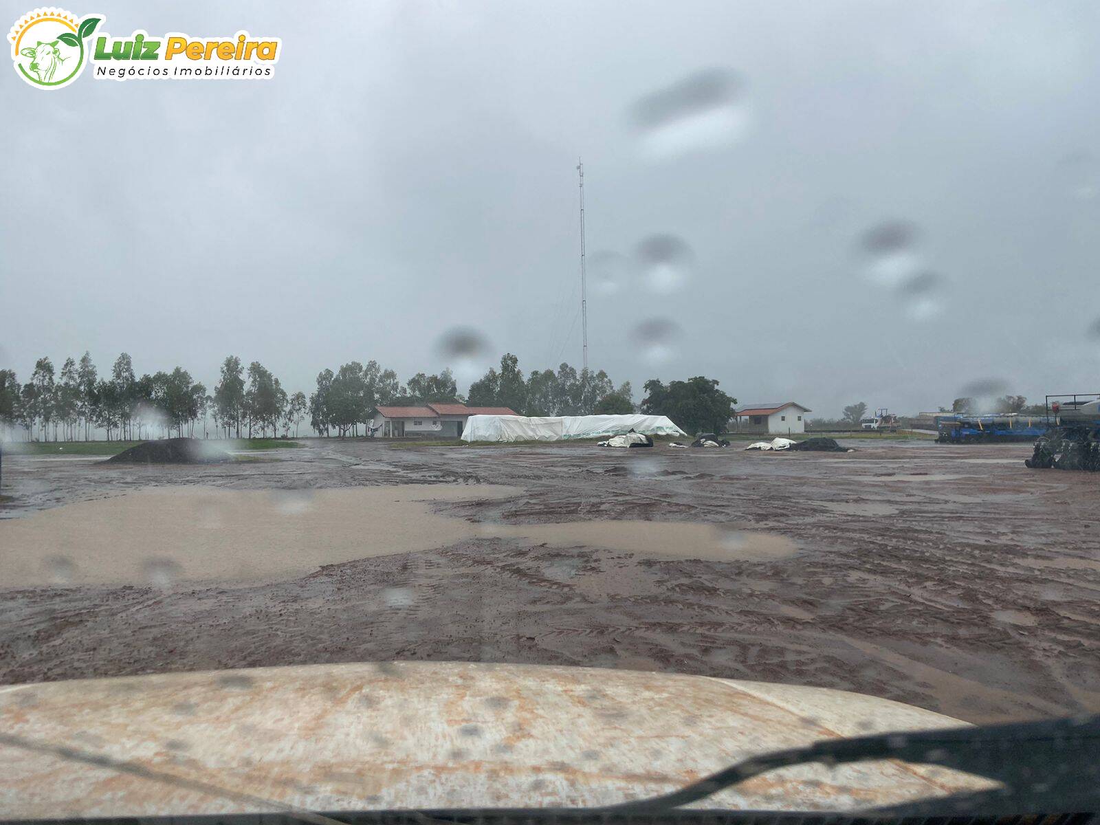 Terreno à venda, 8000m² - Foto 12
