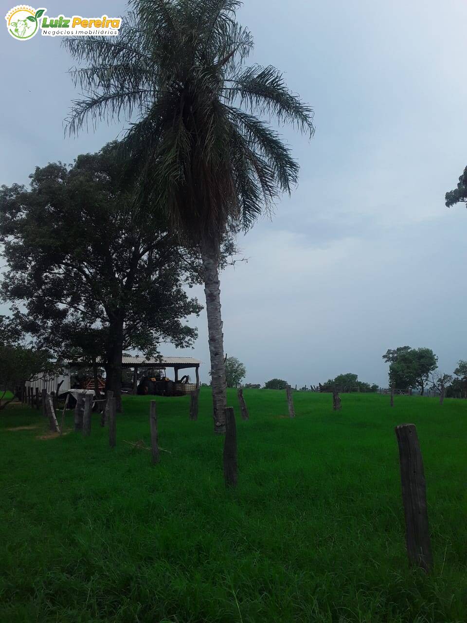Terreno à venda, 545m² - Foto 5
