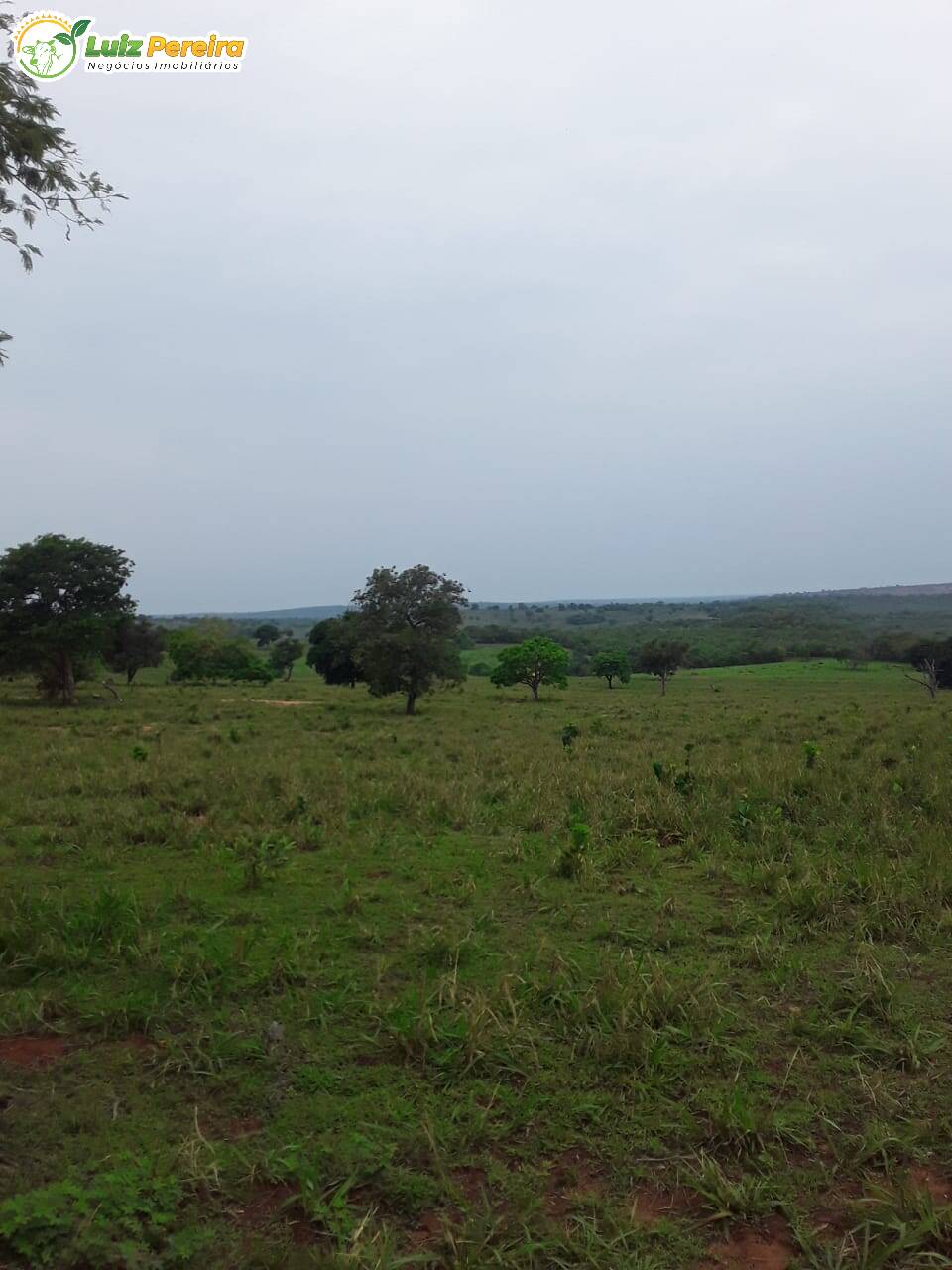 Terreno à venda, 545m² - Foto 2