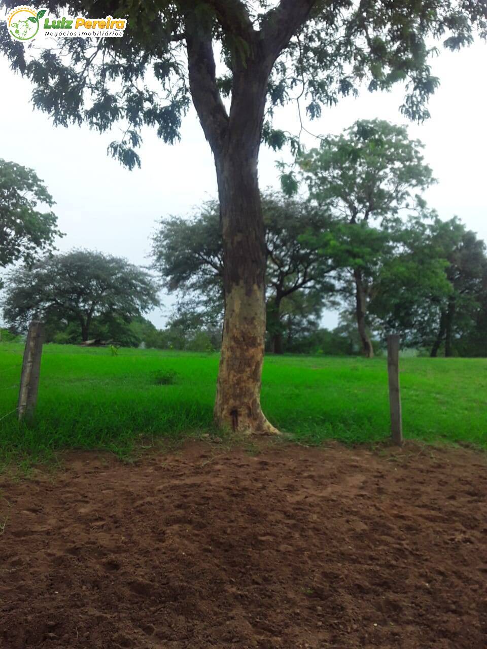 Terreno à venda, 545m² - Foto 6