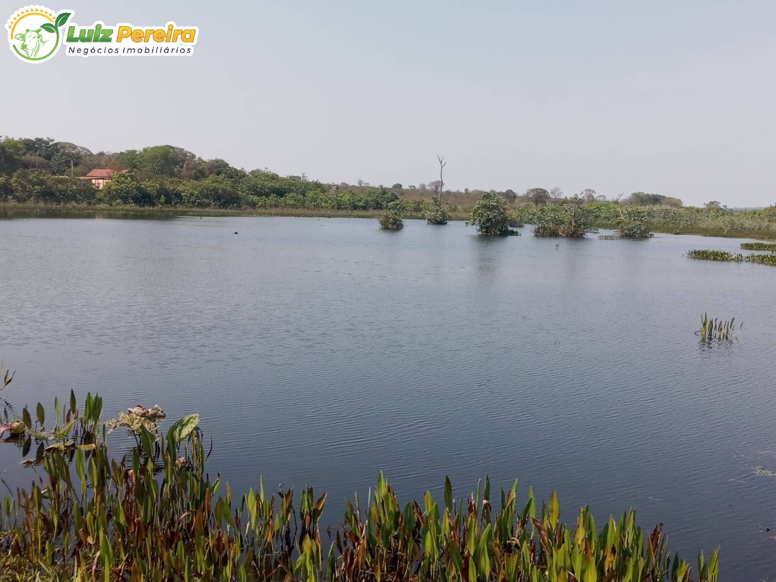 Terreno, 587 m² - Foto 3