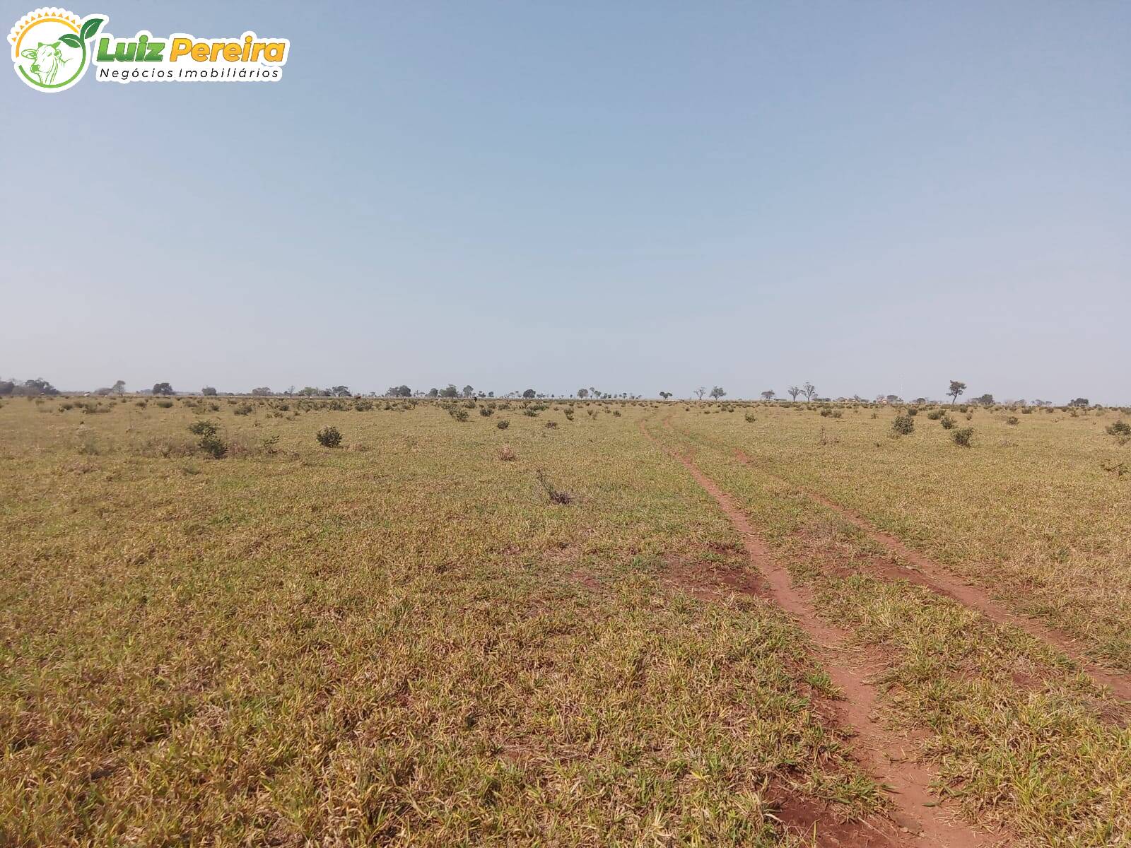 Terreno, 587 m² - Foto 4