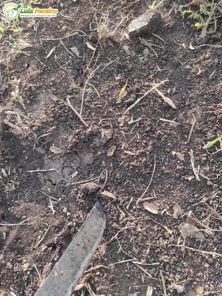 Terreno, 223 m² - Foto 13