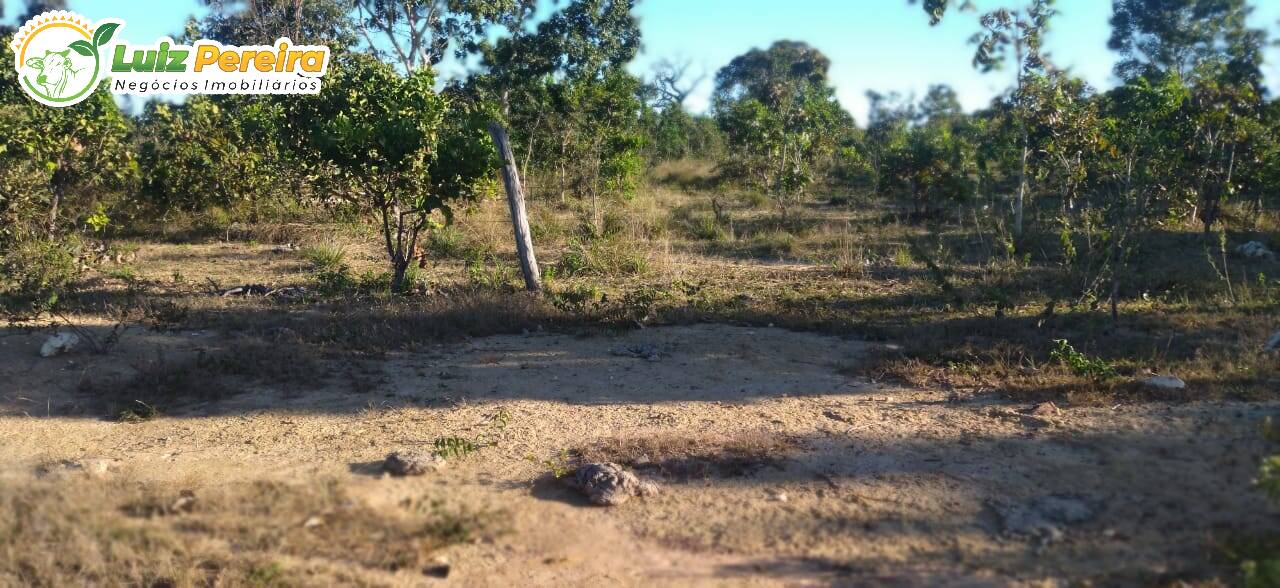 Terreno à venda, 1630m² - Foto 11