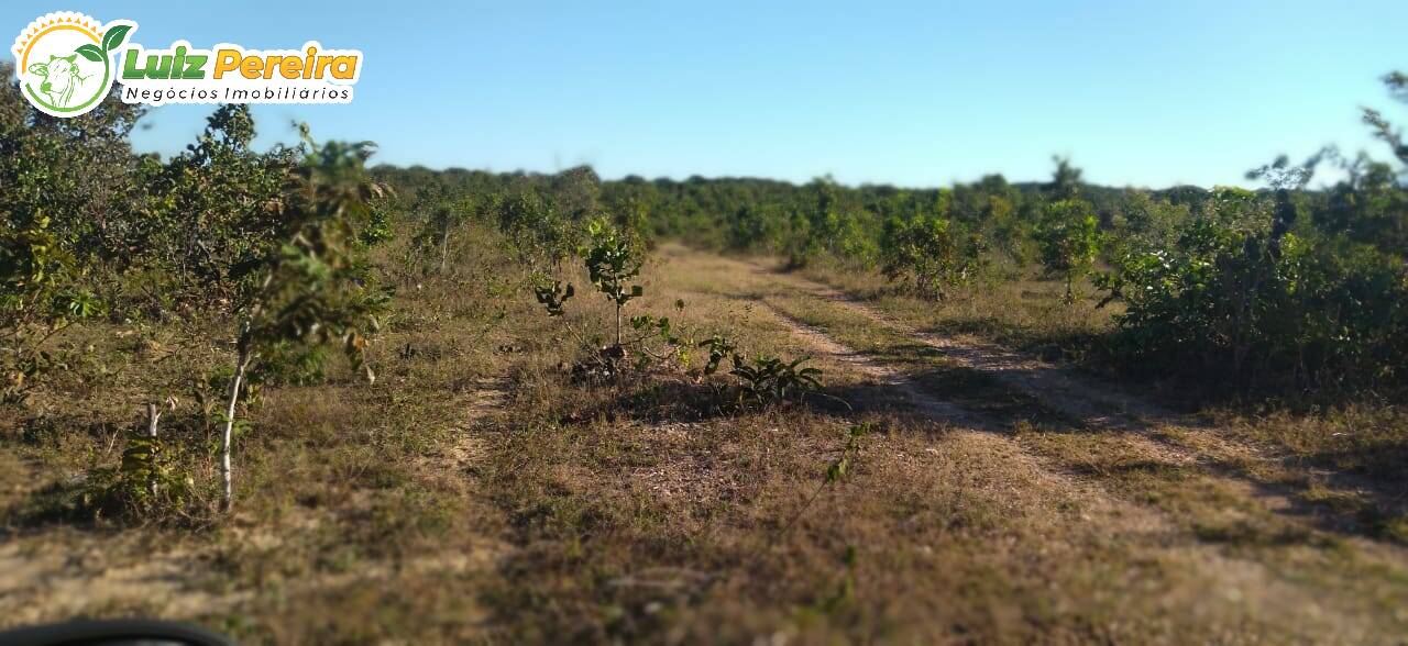 Terreno à venda, 1630m² - Foto 8