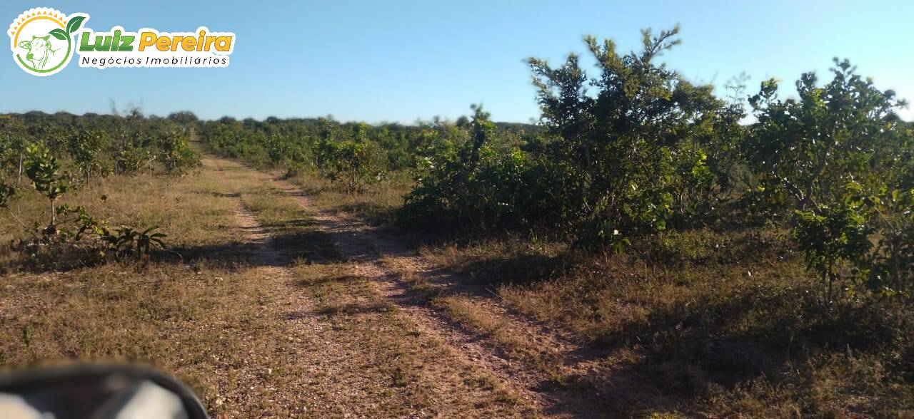 Terreno à venda, 1630m² - Foto 10
