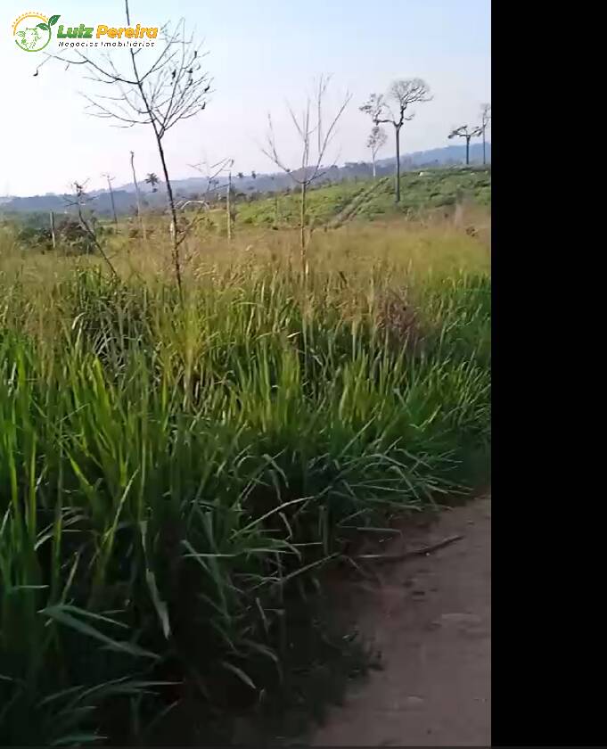 Terreno à venda, 3872m² - Foto 4