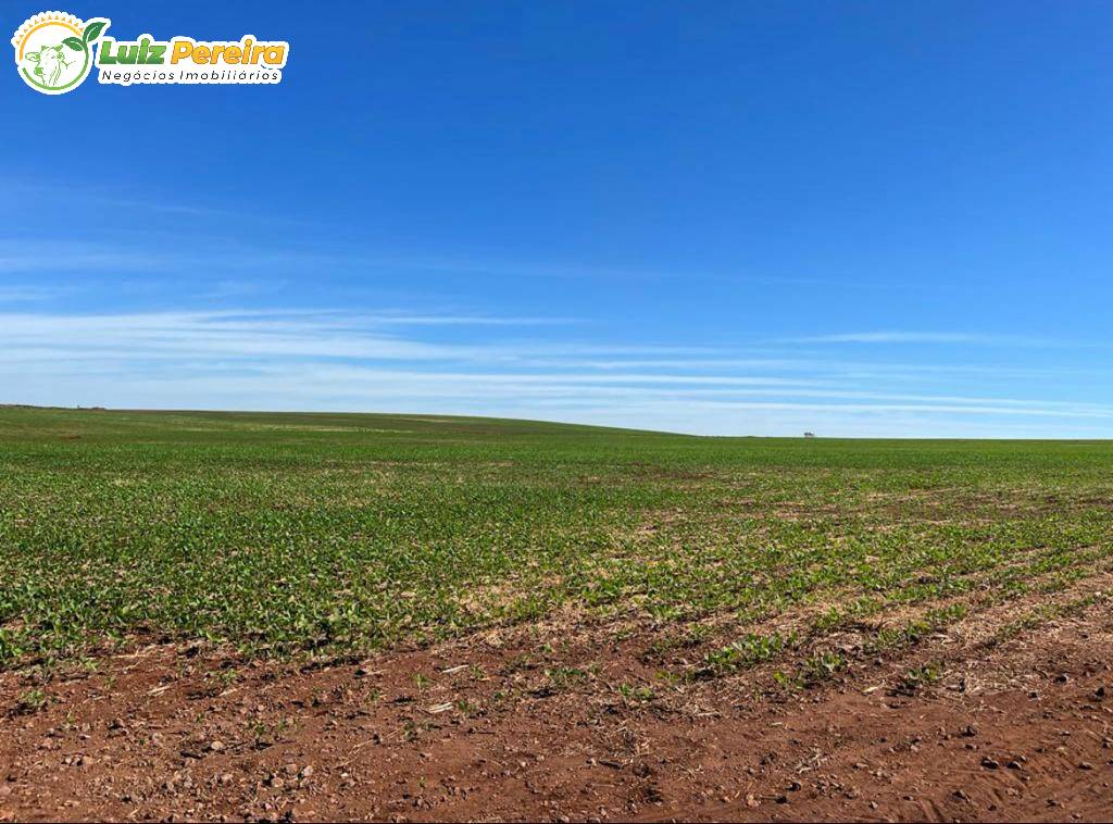 Terreno à venda, 874m² - Foto 2