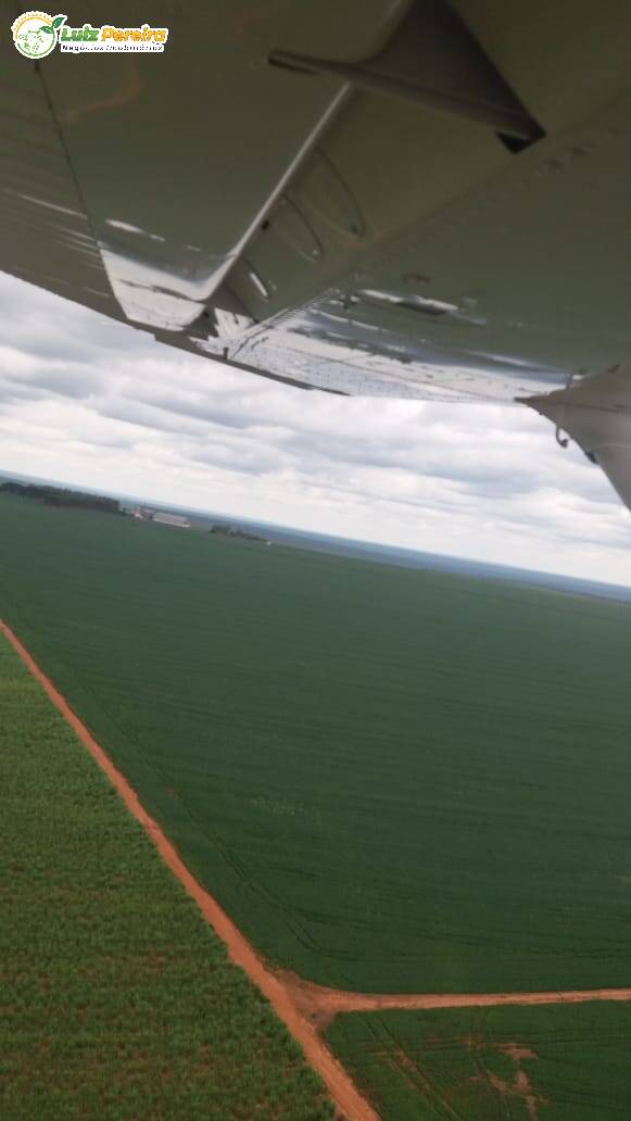 Terreno, 10 hectares - Foto 12