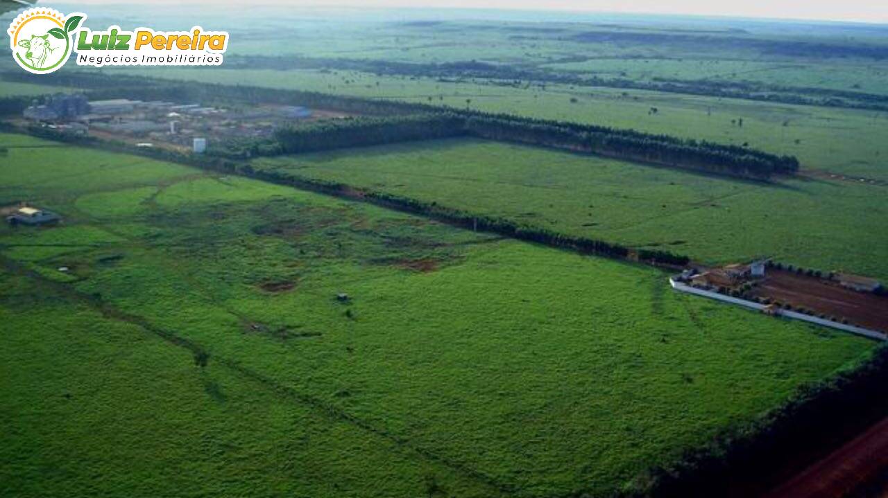 Terreno, 10 hectares - Foto 1