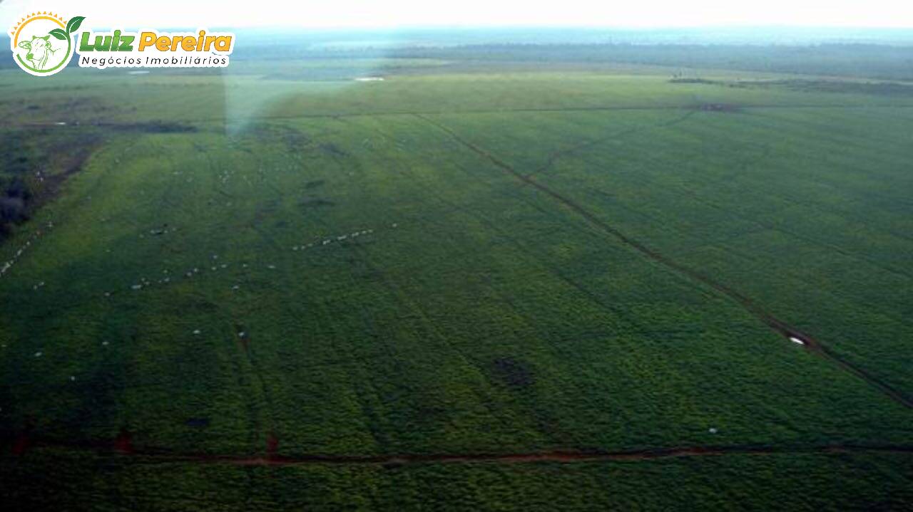 Terreno, 10 hectares - Foto 6