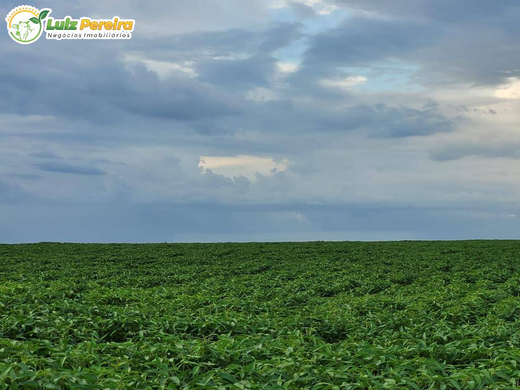 Terreno, 646 m² - Foto 12