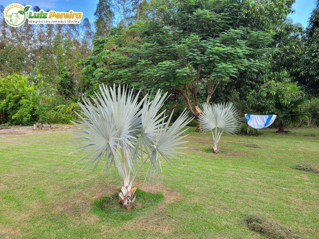 Terreno, 646 m² - Foto 14