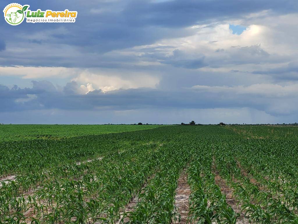 Terreno, 646 m² - Foto 6