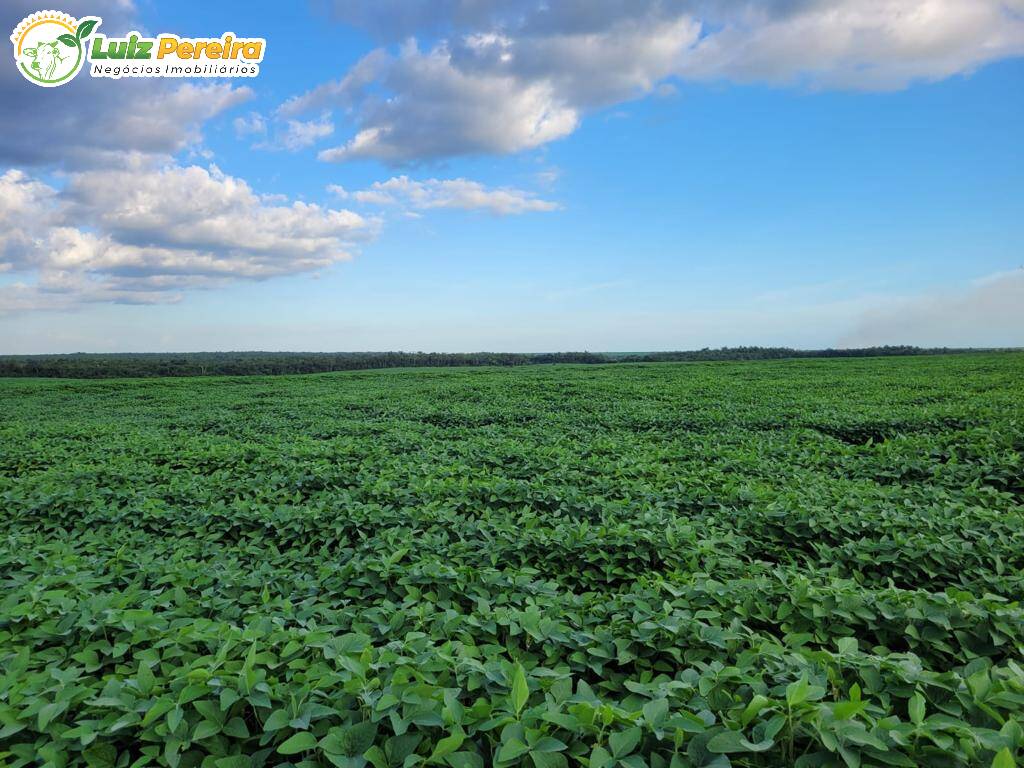 Terreno, 646 m² - Foto 9