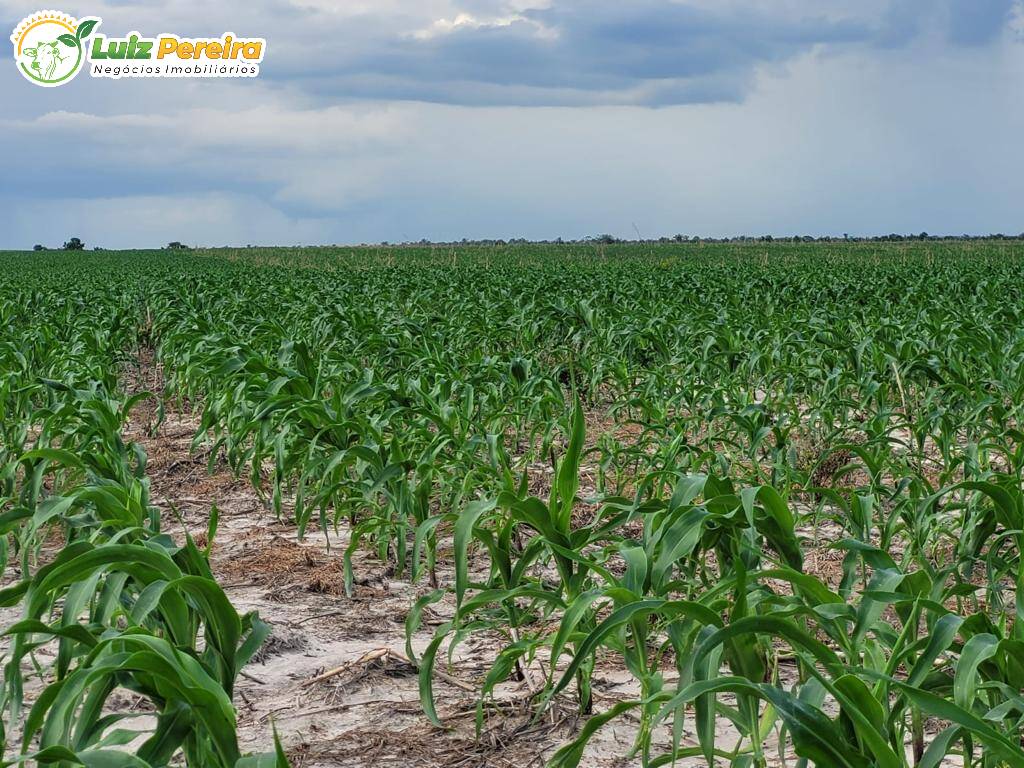 Terreno, 646 m² - Foto 7