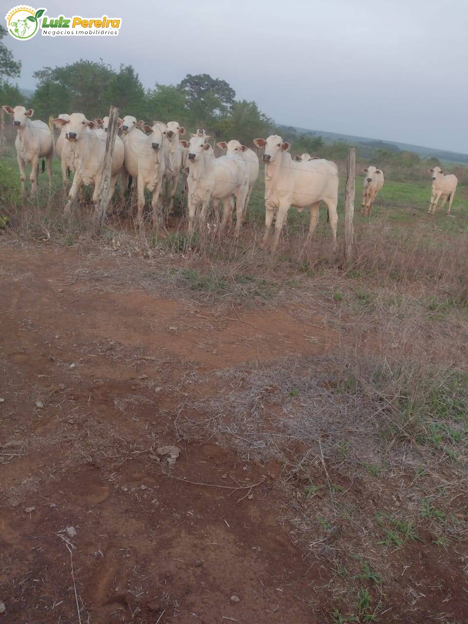 Terreno, 646 m² - Foto 16