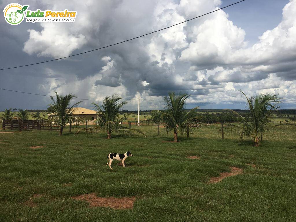 Terreno à venda, 1452m² - Foto 8