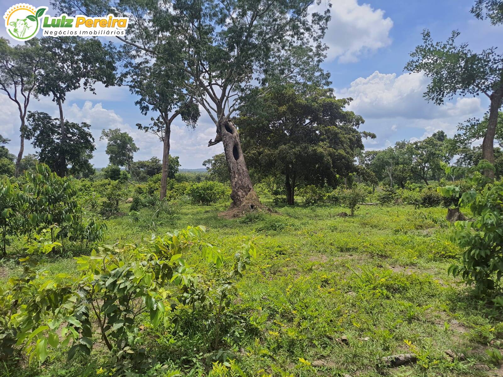 Terreno, 484 m² - Foto 4