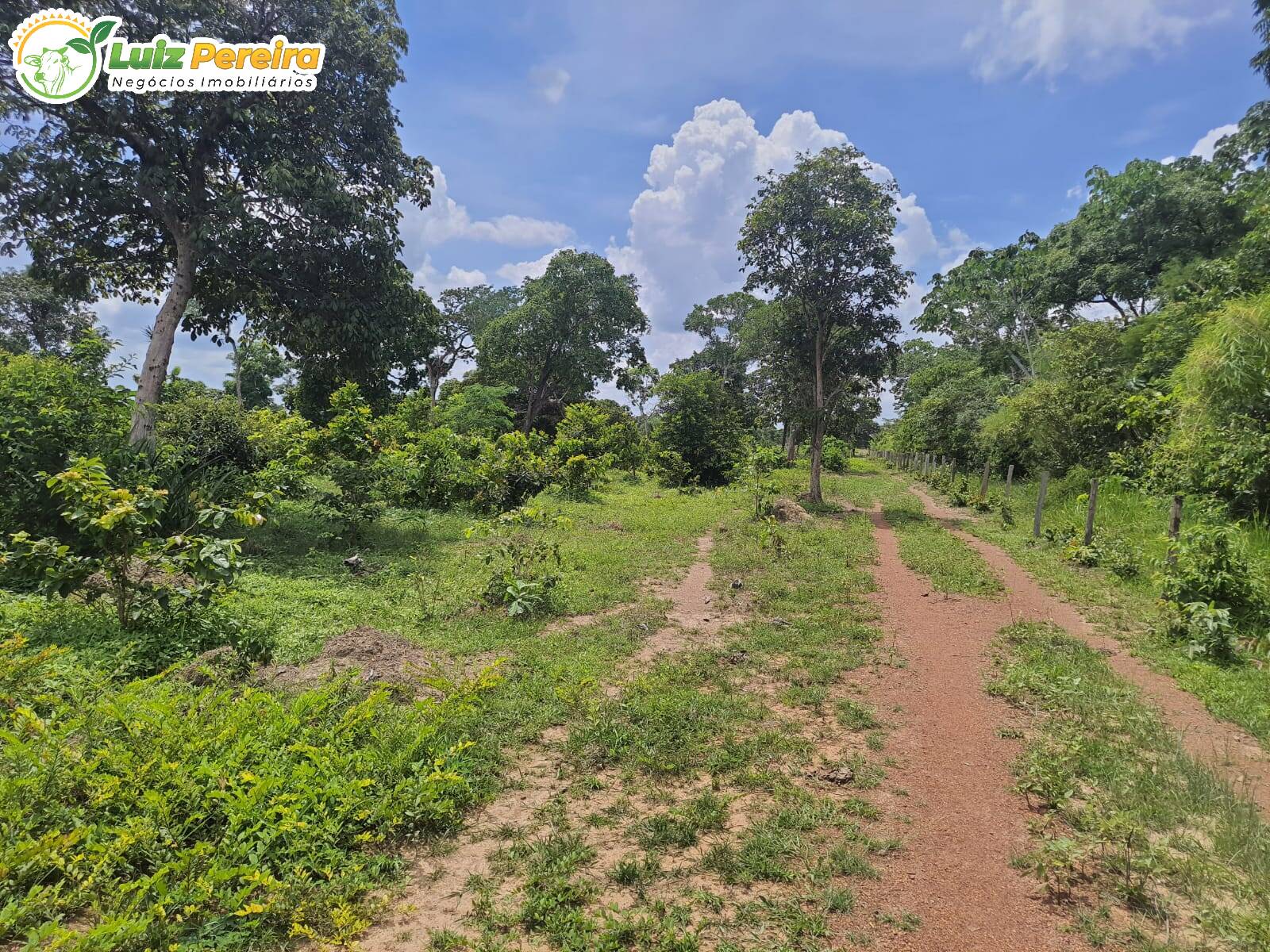 Terreno, 484 m² - Foto 5