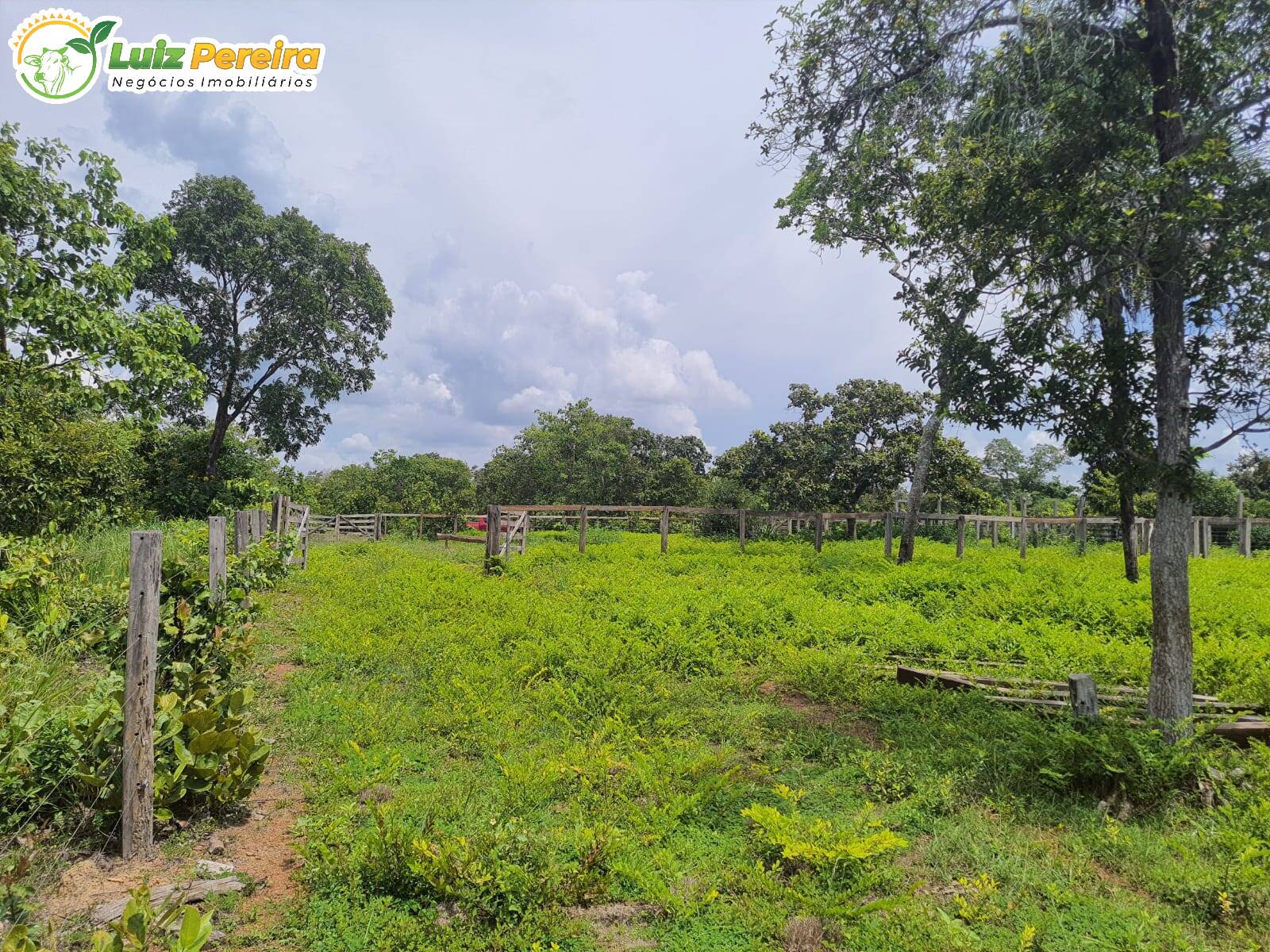 Terreno, 484 m² - Foto 6