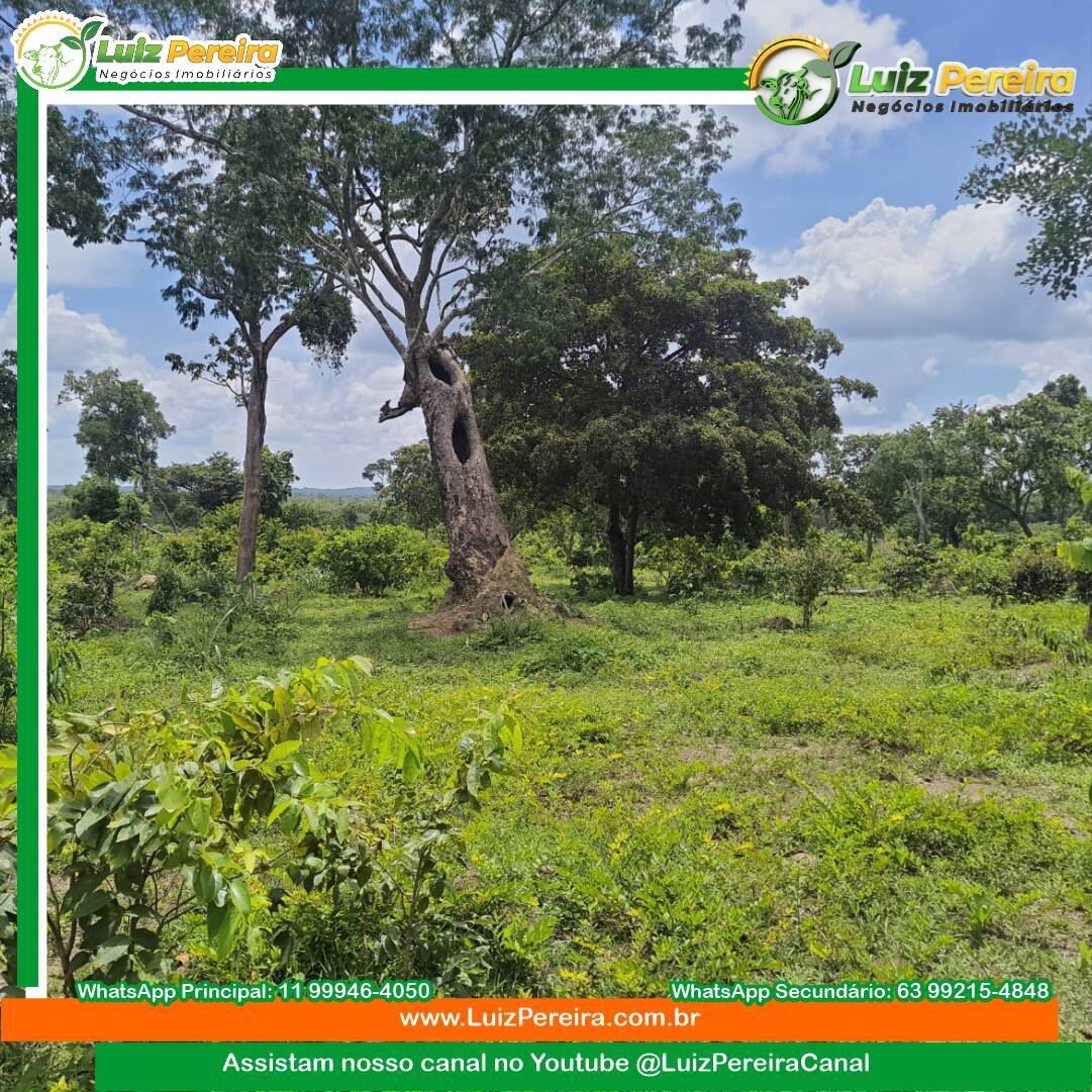 Terreno, 484 m² - Foto 3