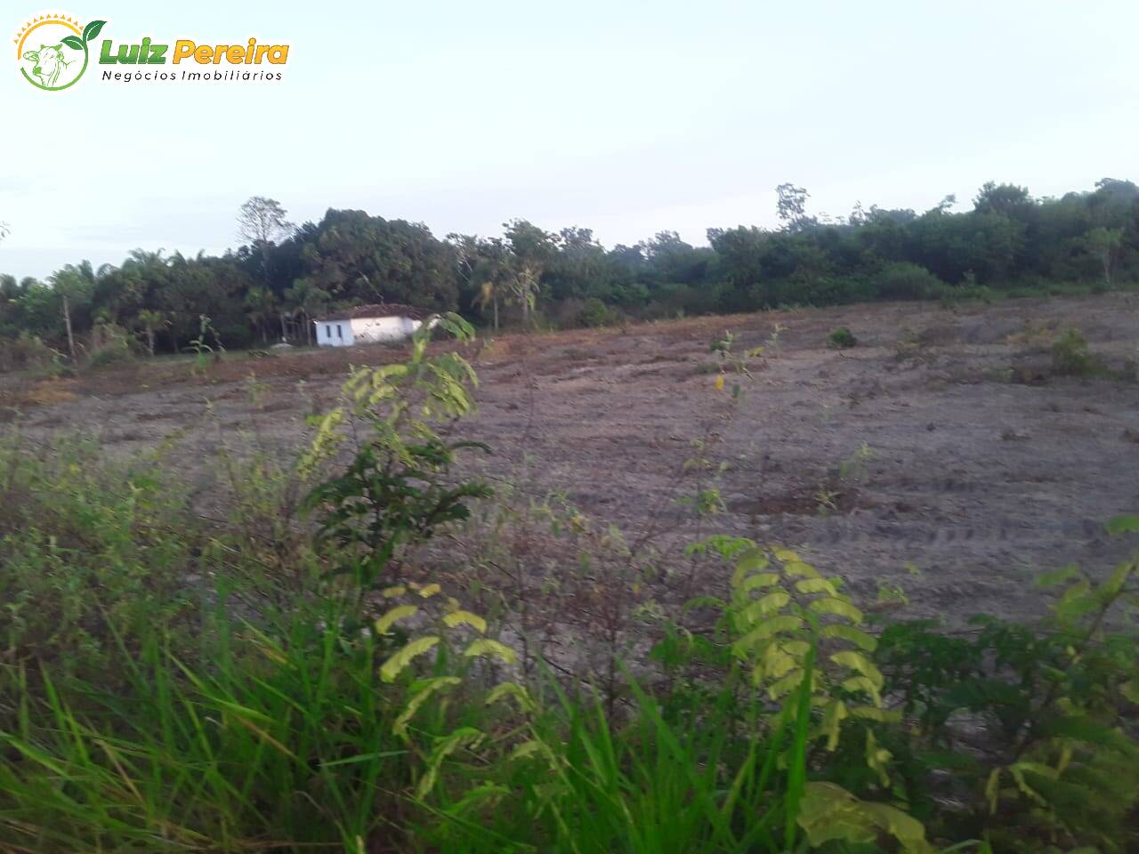 Terreno à venda, 1400m² - Foto 9
