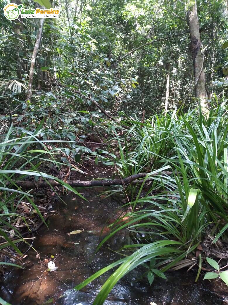 Terreno à venda, 1400m² - Foto 5