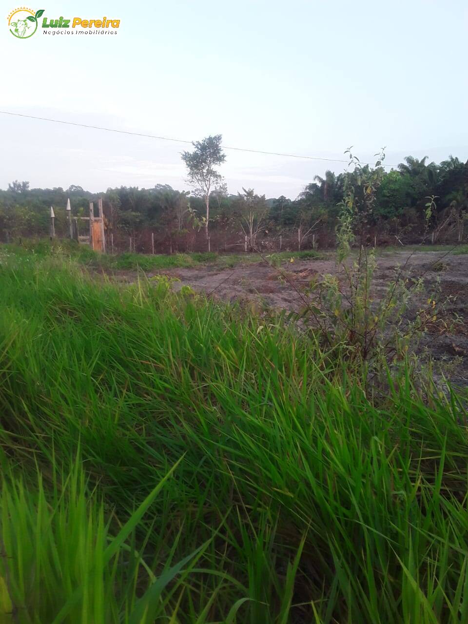 Terreno à venda, 1400m² - Foto 7