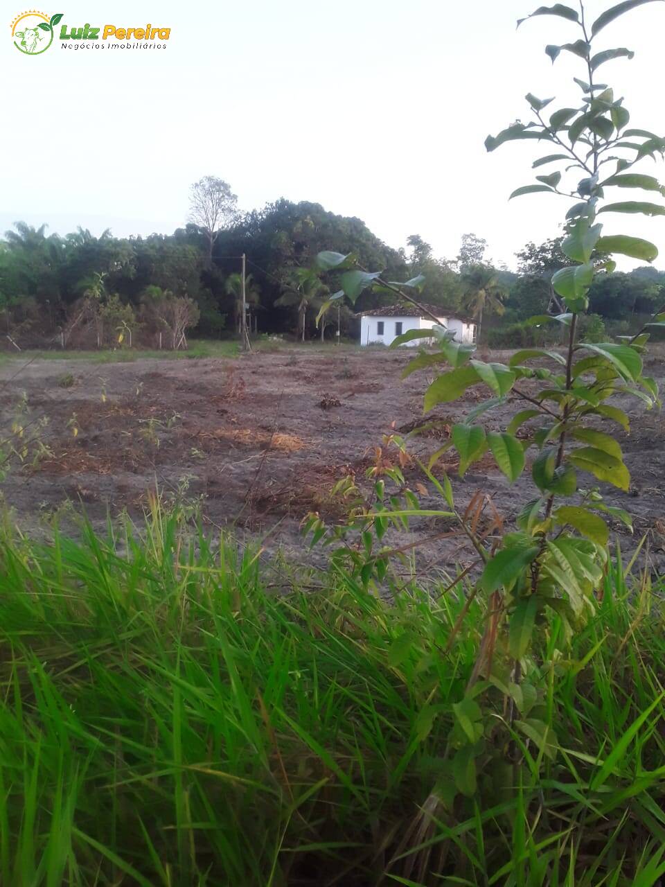 Terreno à venda, 1400m² - Foto 8