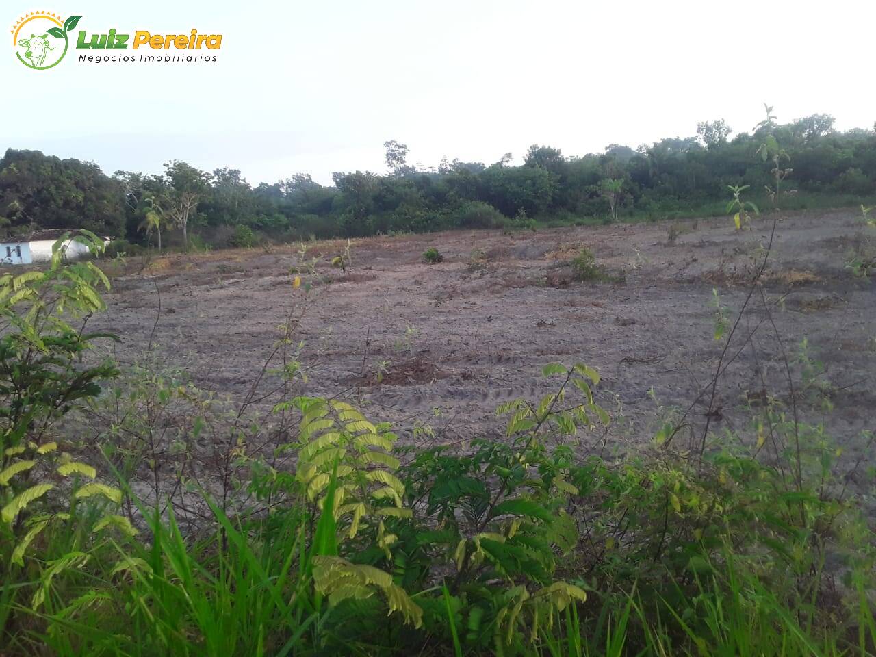 Terreno à venda, 1400m² - Foto 6