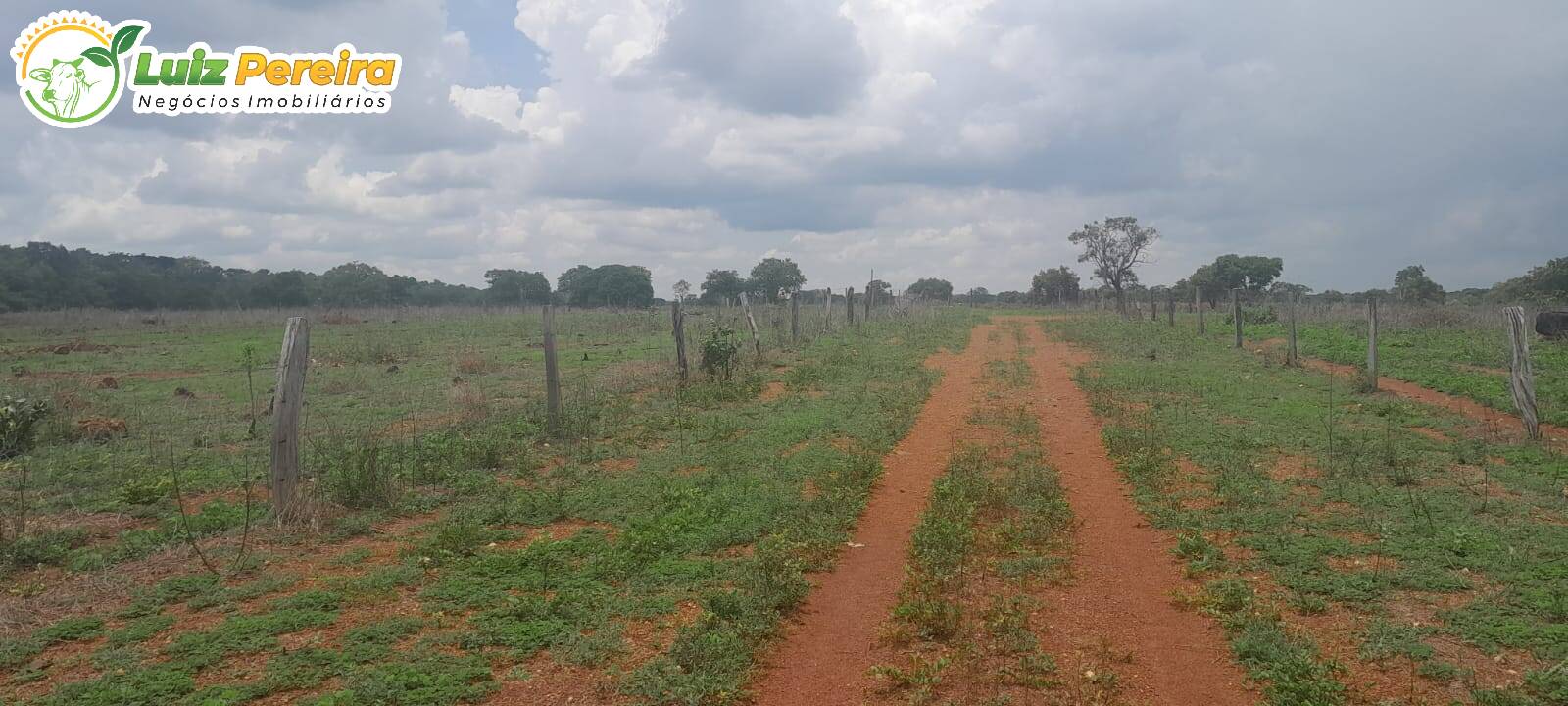 Terreno, 798 m² - Foto 5