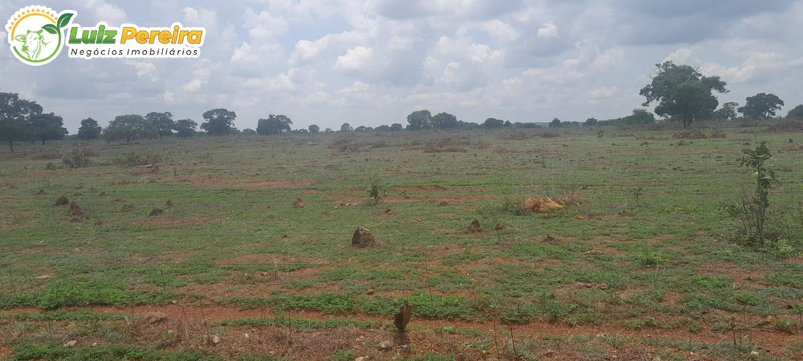 Terreno, 798 m² - Foto 4