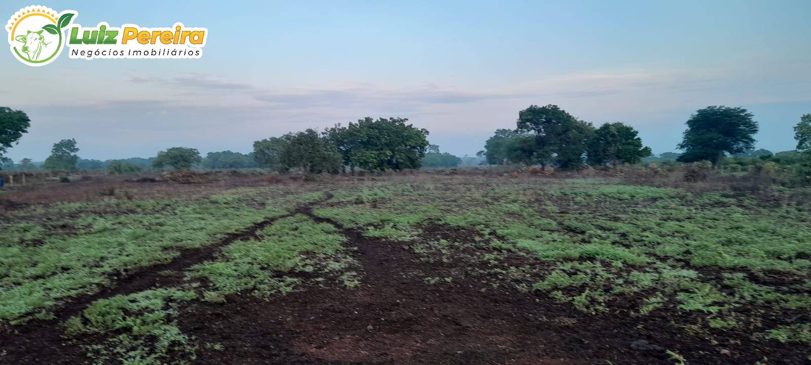 Terreno, 798 m² - Foto 1