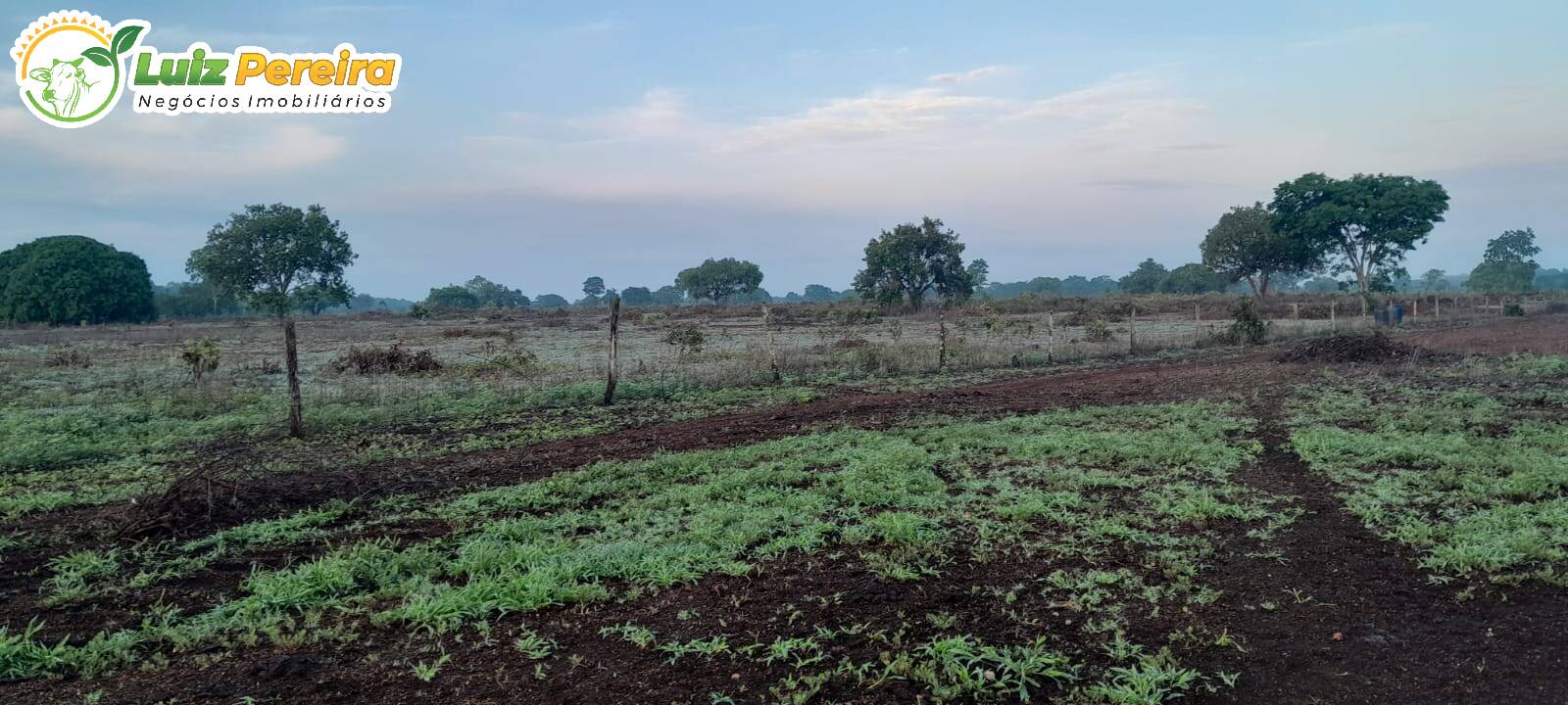 Terreno, 798 m² - Foto 2