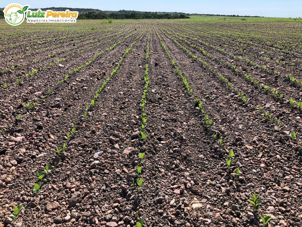 Terreno, 4117 m² - Foto 3