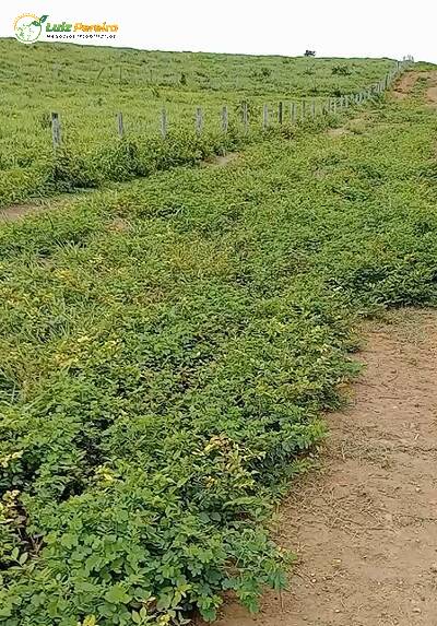 Terreno, 871 m² - Foto 7