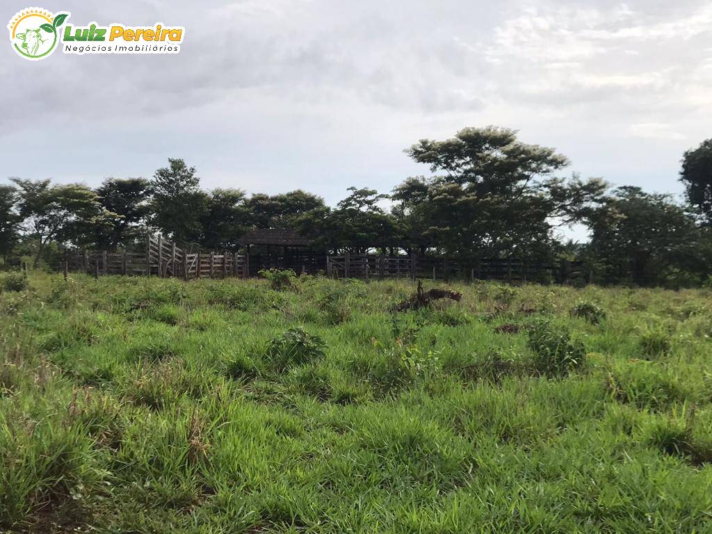 Terreno à venda, 4598m² - Foto 2